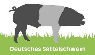 Deutsches Sattelschwein